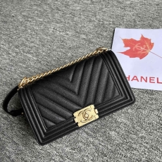 Chanel Leboy Series Bags